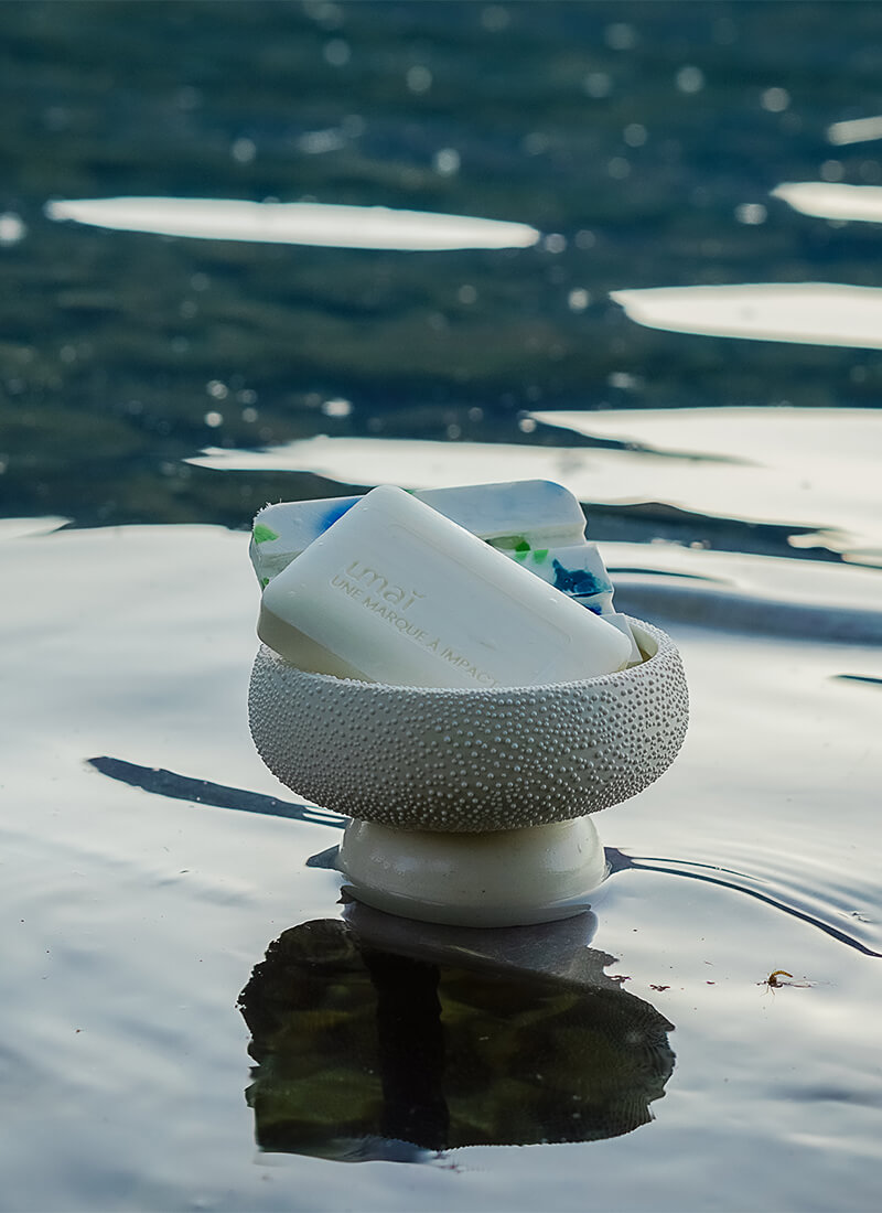 Photo de savon dans une coupelle posé sur l'eau.