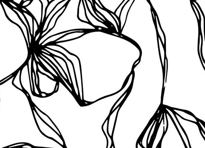 Dessin au trait de fleurs.