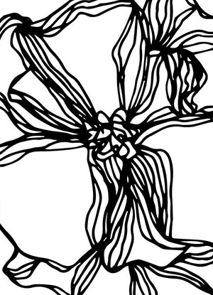 Dessin au trait de fleurs.