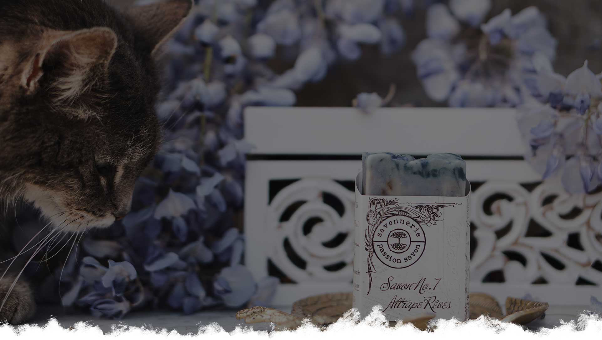 Photo d'un chat qui renifle un savon.